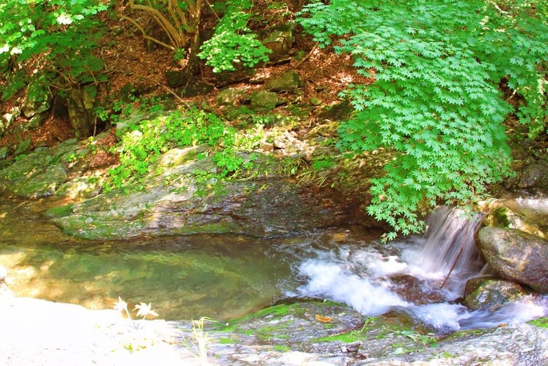 자연에 머물다 시설 사진 14