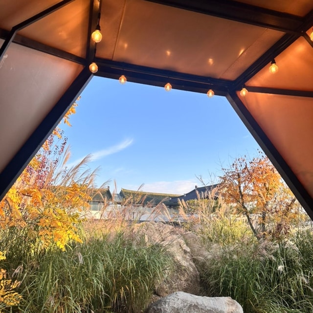 플레이스씨 글램핑 대표 사진