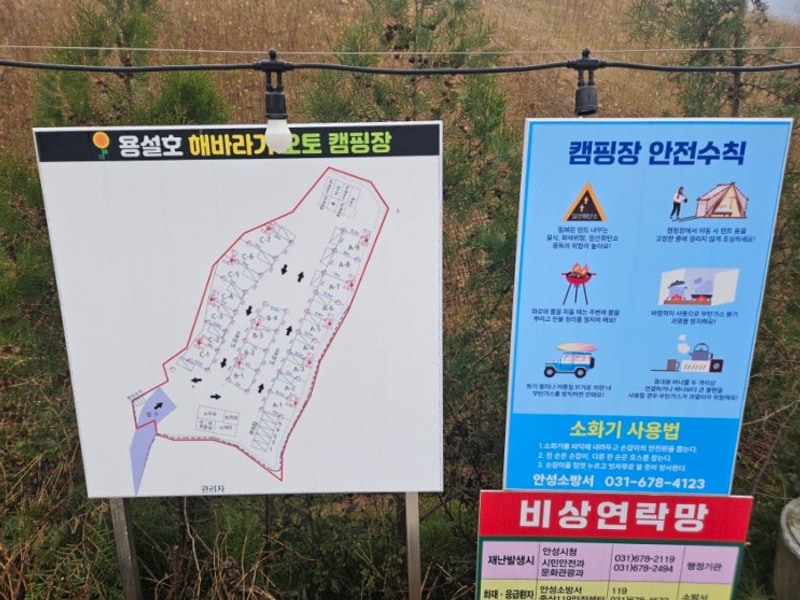 용설호 해바라기 캠핑장