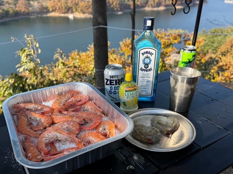 충주 신생 캠핑장 스위스 캠핑장 후기