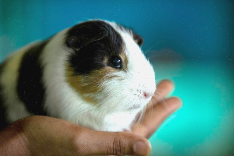 청주 근교의 자연 속으로! 괴산 쌍곡계곡과 솔밭캠프 여행기