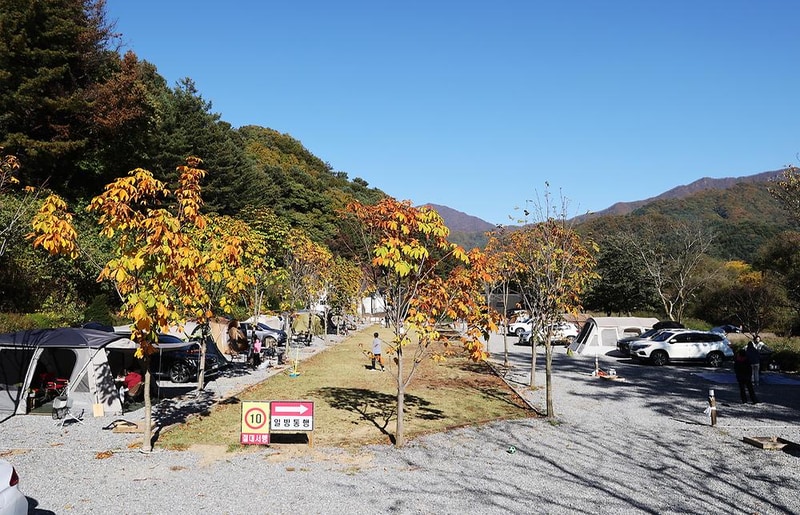 캠프99 시설 사진 6