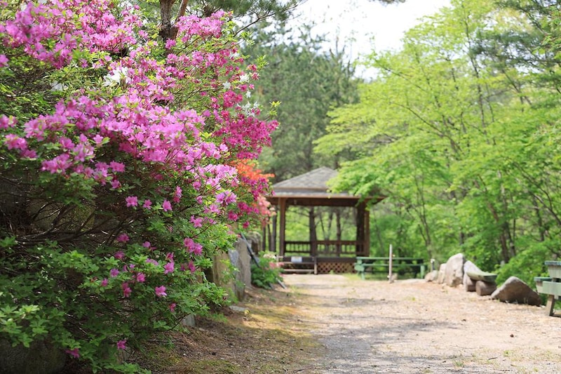 꿈꾸는 계곡 야영장 시설 사진 3