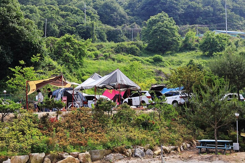 강화바다관광농원 시설 사진 11