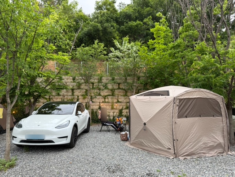 평택 포승 무수캠핑장 단점 3가지 사이트 추천 플라이 없이 첫...