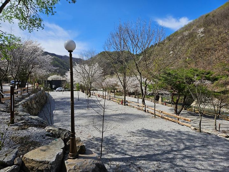 담터 민수 캠핑장 대표 사진