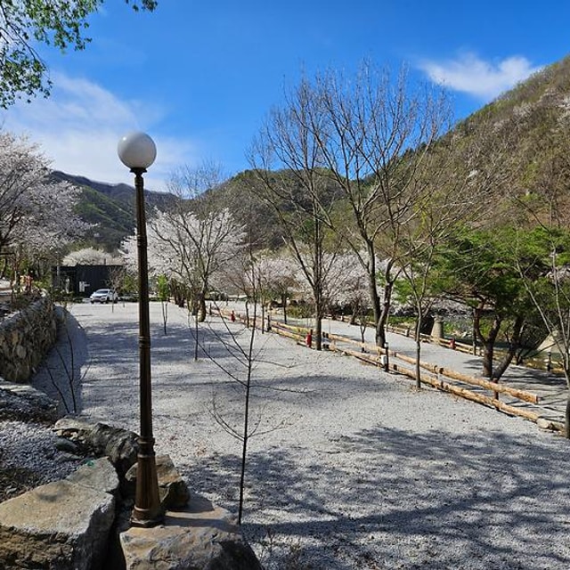 담터 민수 캠핑장