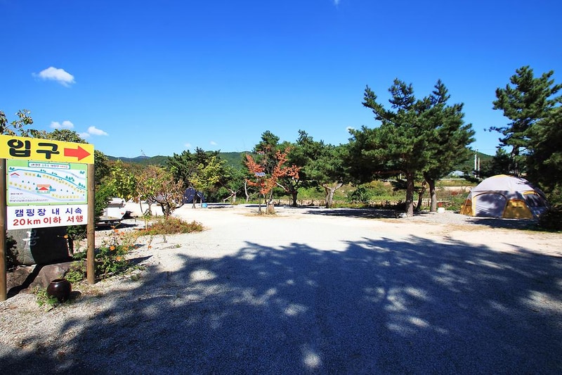 늘푸른캠핑장 시설 사진 7