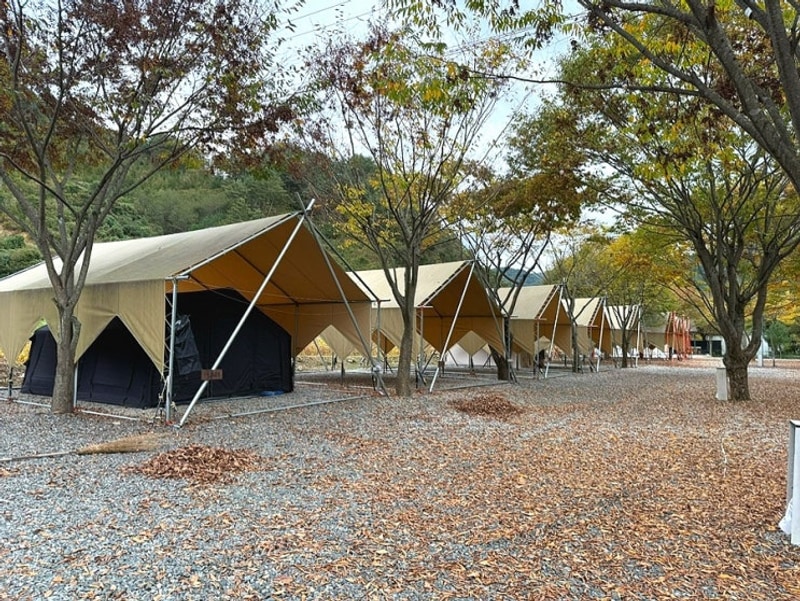 예다움캠핑장 강원도 영월 장박캠핑 계곡캠핑장 시설좋고...