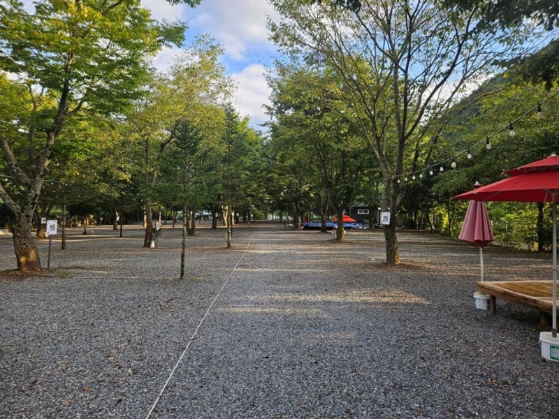 영월캠핑장 법흥캠핑장 방문후기