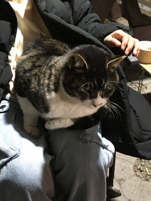 구리 토평 가족캠핑장 구역 총정리 | 강추위를 뚫고 가족과...