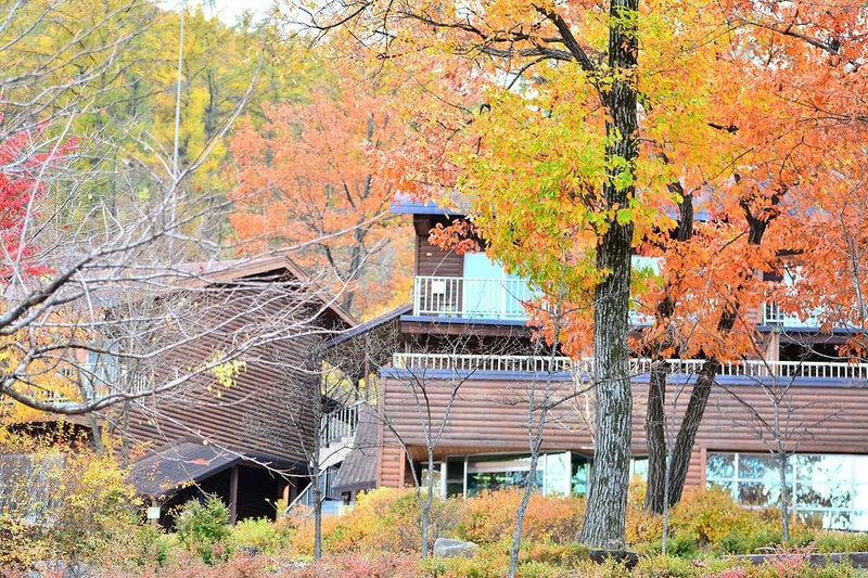 국립유명산자연휴양림(자동차) 시설 사진 5