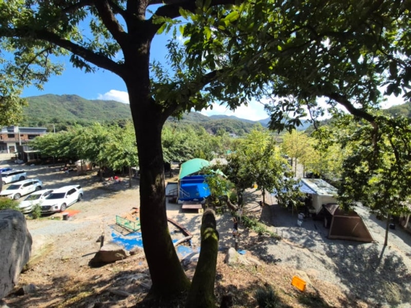 그늘 많고 놀이터가 좋은 충남 예산 키즈 프렌들리 캠핑장 수덕...