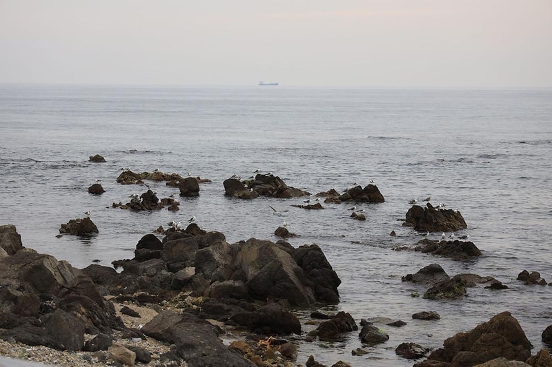 유니의바다 카라반캠핑장 시설 사진 19