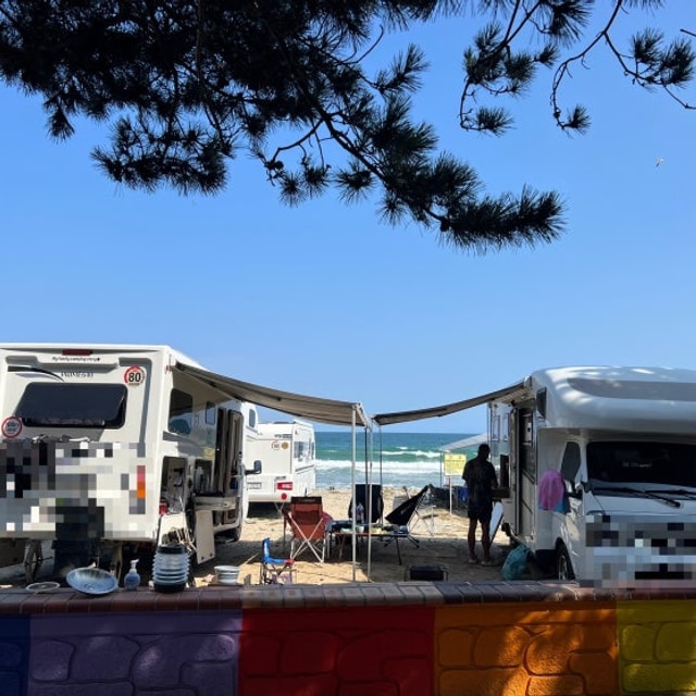 월포해수욕장 마을번영회 야영장 대표 사진