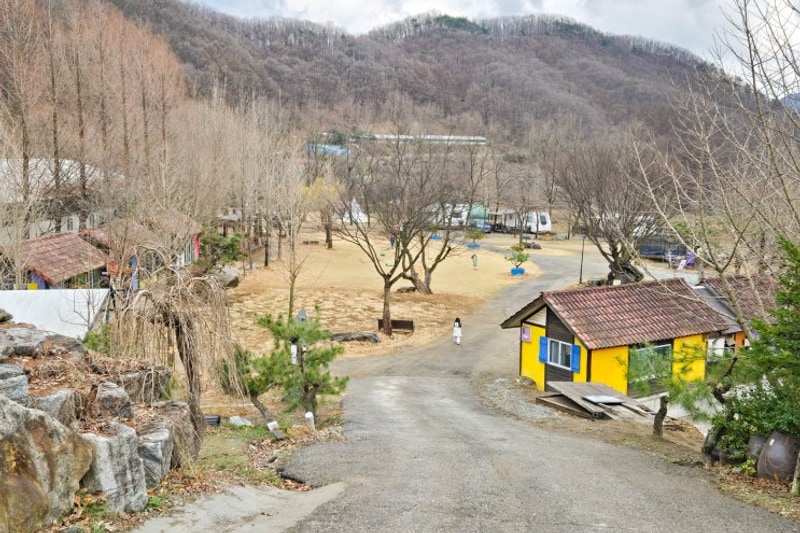 충주 키즈캠핑장 햇살아래캠핑장 동물체험 트램폴린 A03...