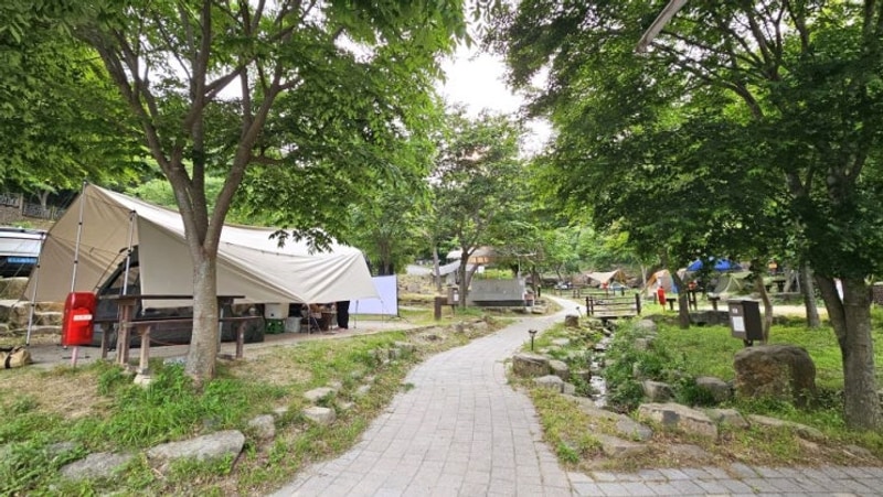 무등산 도원야영장 C - 5 이용 후기 & 도원계곡 마실길 & 담양...