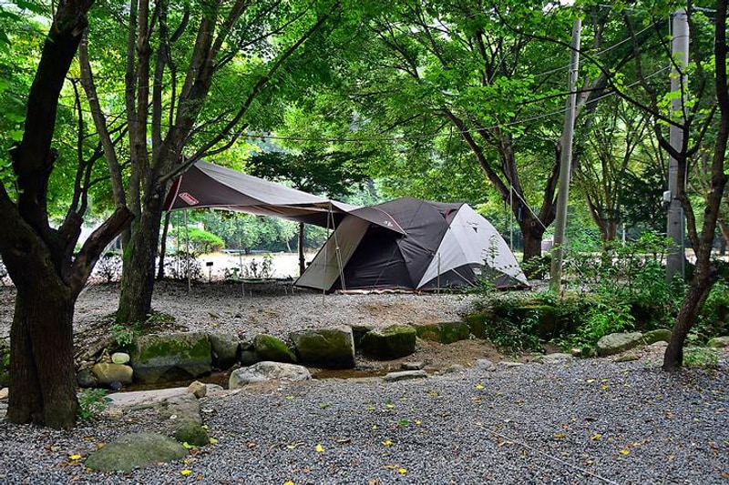 큰마당캠핑장 대표 사진