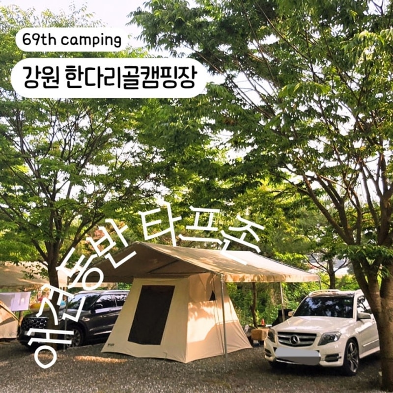 원주 치악산 한다리골캠핑장 애견동반 계곡 타프존 F 후기