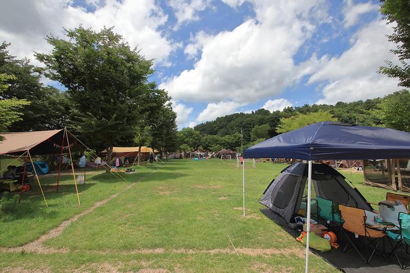 영우네 농어촌 관광농원 대표 사진