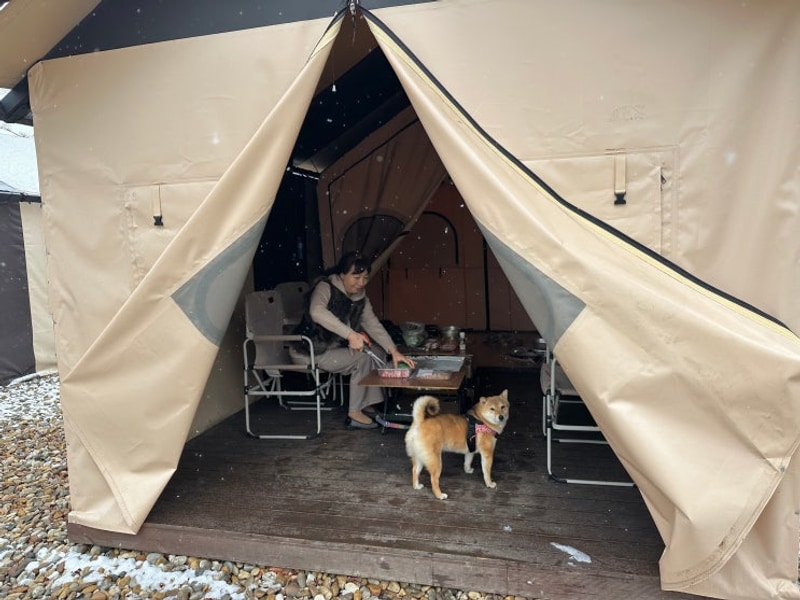 엄마랑 강아지랑 김포 강변글램핑 당일캠핑 후기❤️