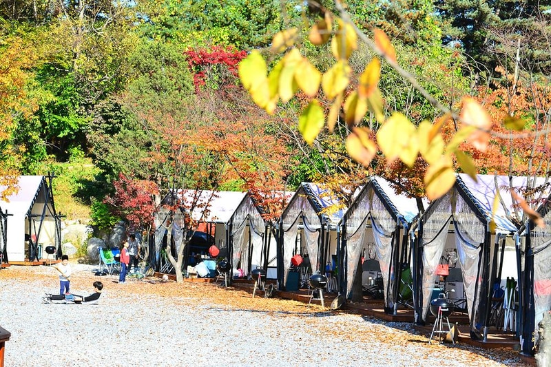 메이플트리글램핑 시설 사진 13