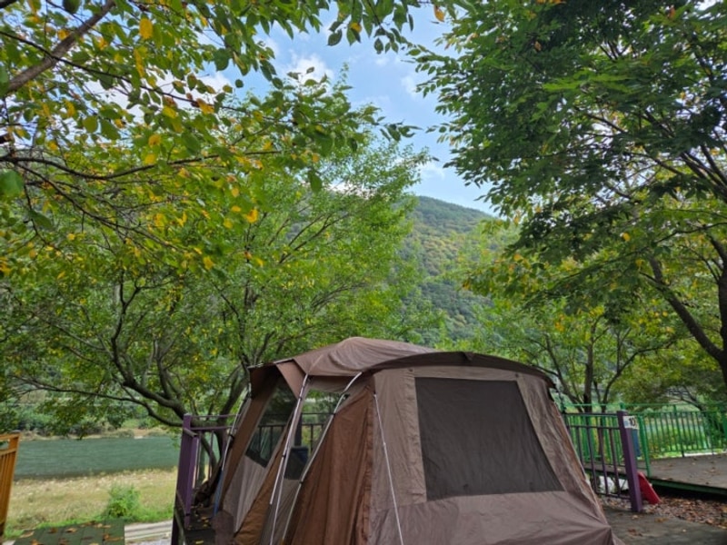 단양무지개오토캠핑장 / 명당 / B-10번 사이트 후기