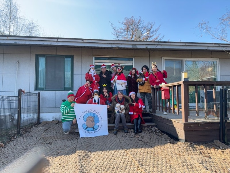 2024 감자 프리다이빙 - 춘천 물동네 힐링캠프 팬션