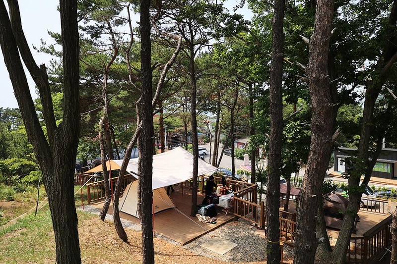 하늘빛 시설 사진 10