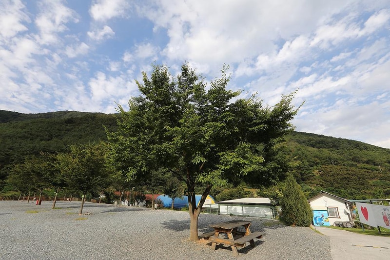 청도 힐링 오토캠핑장 시설 사진 14