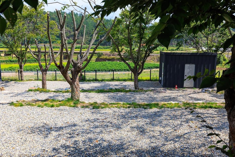 느티담길 캠핑장 시설 사진 15