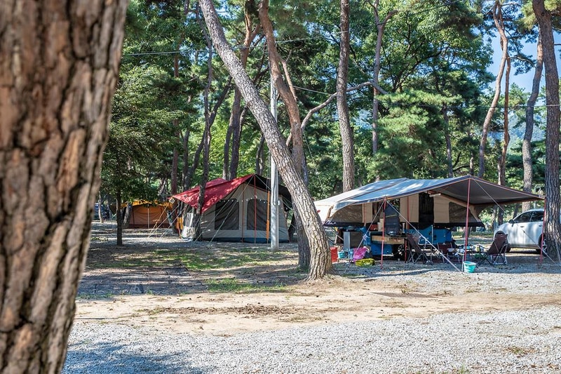 숲속의하모니 시설 사진 14