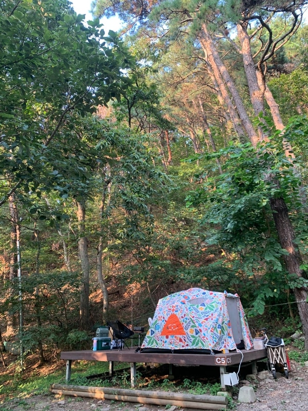 안양 병목안캠핑장 C5번 예약 실수 숯불구이 솔캠