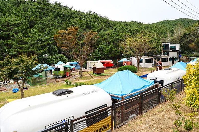 쿠 야영장 대표 사진