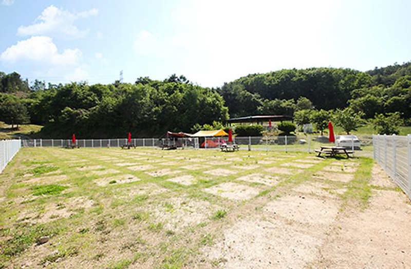 링크독 애견캠핑장(Link dog 애견캠핑장) 대표 사진