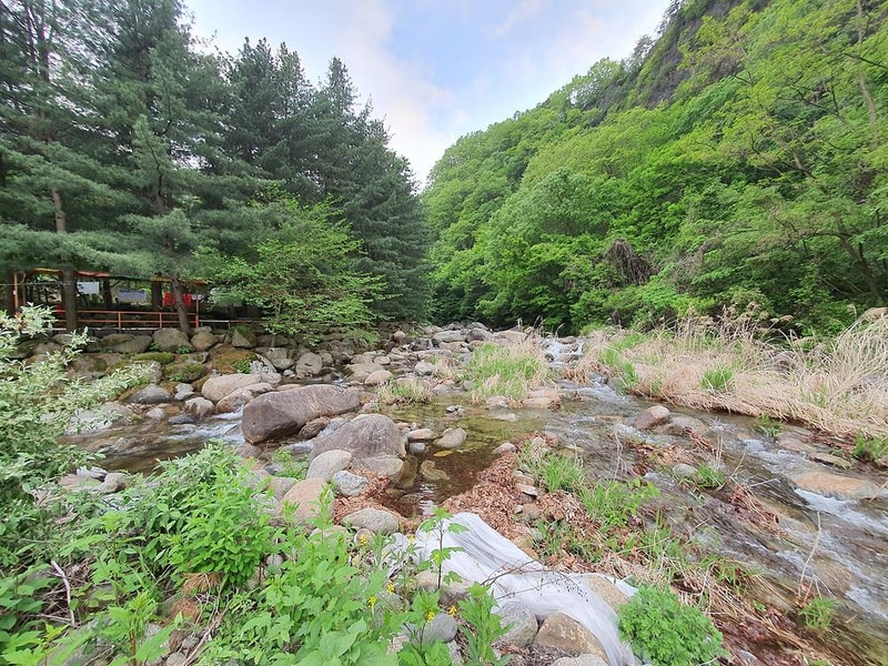 단양 천동계곡 캠핑장 그린농원 시설 사진 37