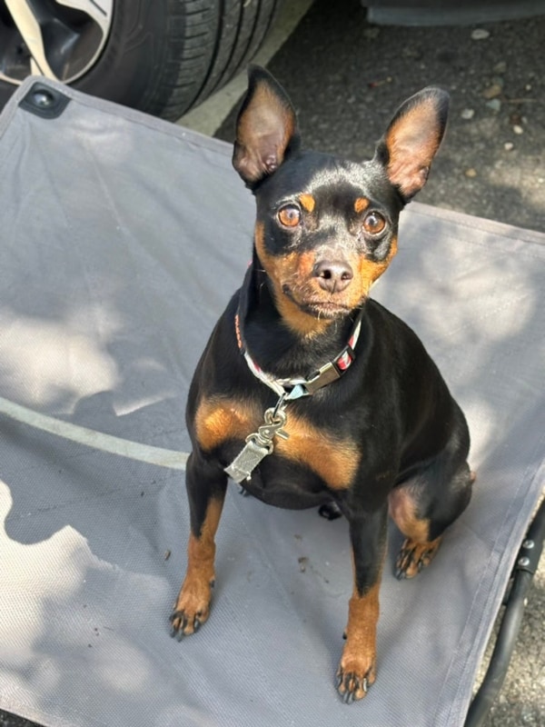 진주 캠핑장 청춘별곡 캠크닉 점심 후기