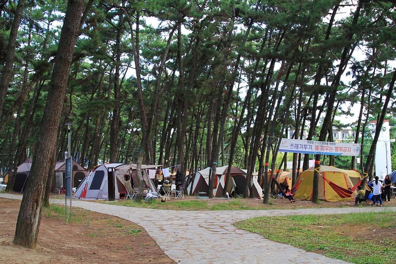 대천해수욕장 야영장 시설 사진 7