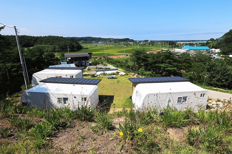 캠프 애니말 시설 사진 12