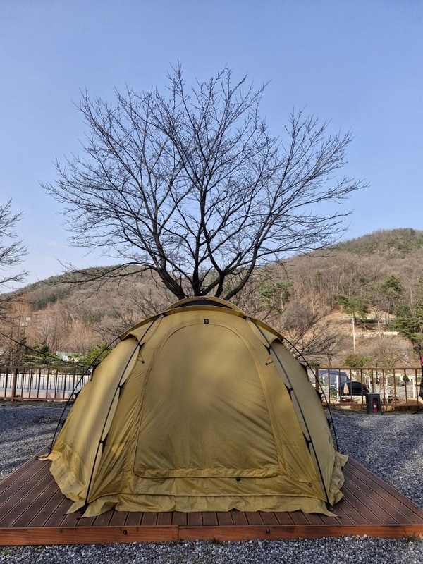 [포천 캠핑] 재방문한 서울 근교 달사랑 캠핑장 / 앙상했던...