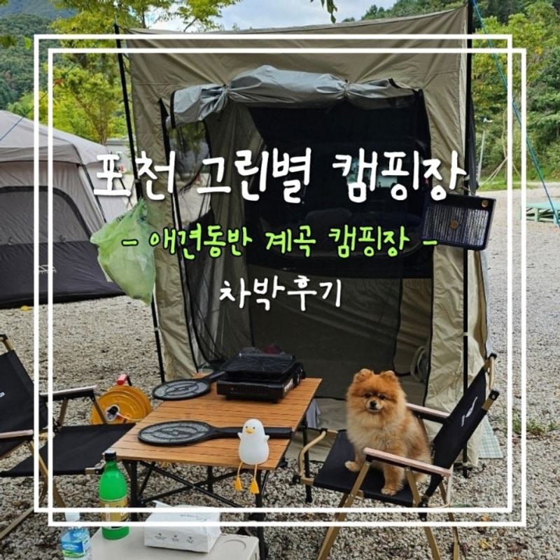 [포천 그린별 캠핑장] 계곡이 바로 옆! 애견동반 차박 19번...