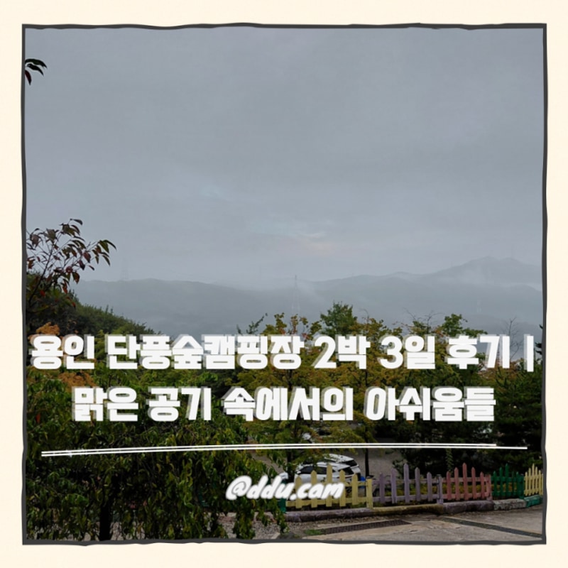 용인 단풍숲캠핑장 2박 3일 후기 | 맑은 공기 속에서의 아쉬움들