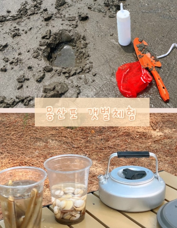 태안) 갯벌 체험하러 간 몽산포 야영장 예약 후기 ✔️ (주차...
