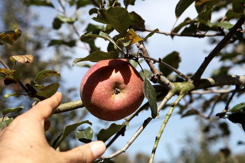 하마캠핑장 시설 사진 8