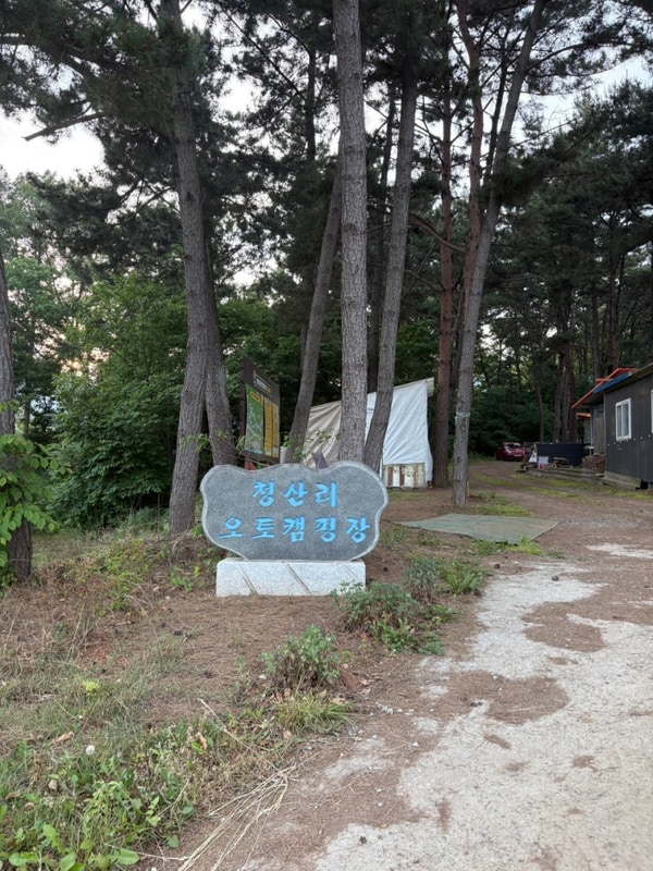 태안 애견동반 오토캠핑장 "청산리오토캠핑장"