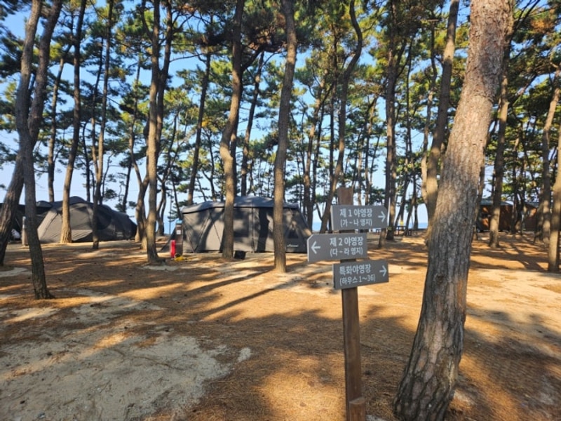 [전북 부안] 고사포야영장 완전정복│가~라 사이트별...