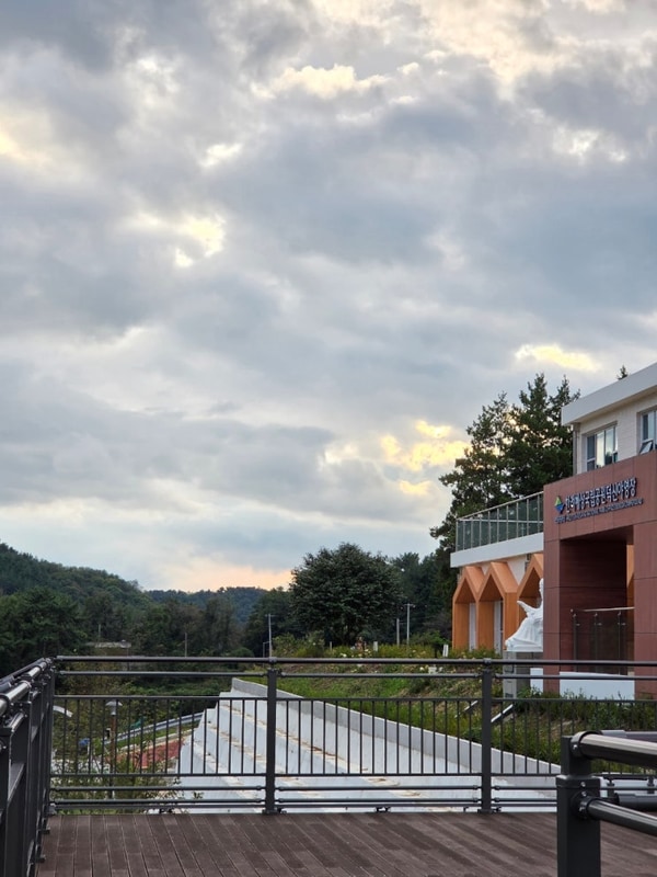 텐트 없이 캠핑하기 [남해 덕신야영장 솔막 D6 후기]