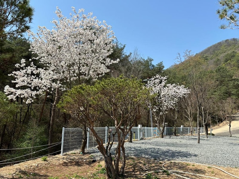 소구니캠핑장 시설 사진 5