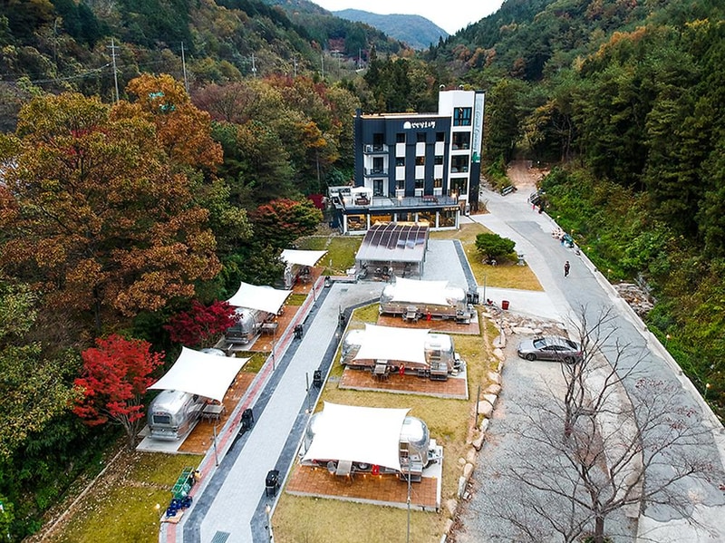 선인장 시설 사진 4