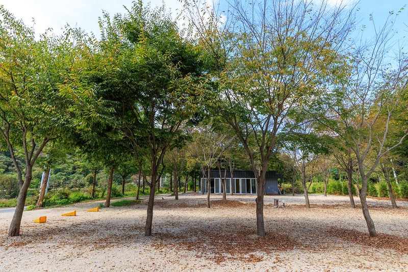 금산 자연 오토캠핑장 시설 사진 8